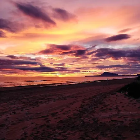 Hello Roger Олива