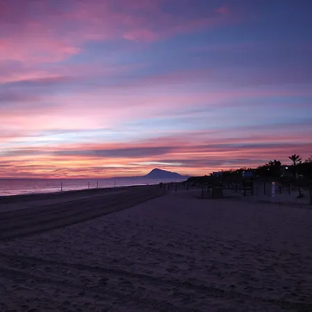 Hello Roger Олива