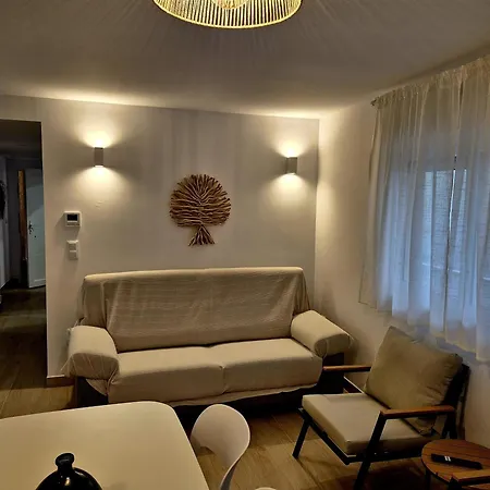 Hello Roger * Олива